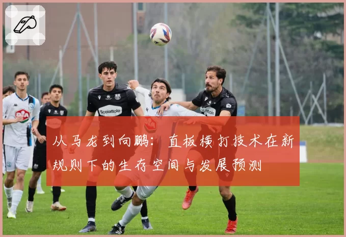 从马龙到向鹏：直板横打技术在新规则下的生存空间与发展预测