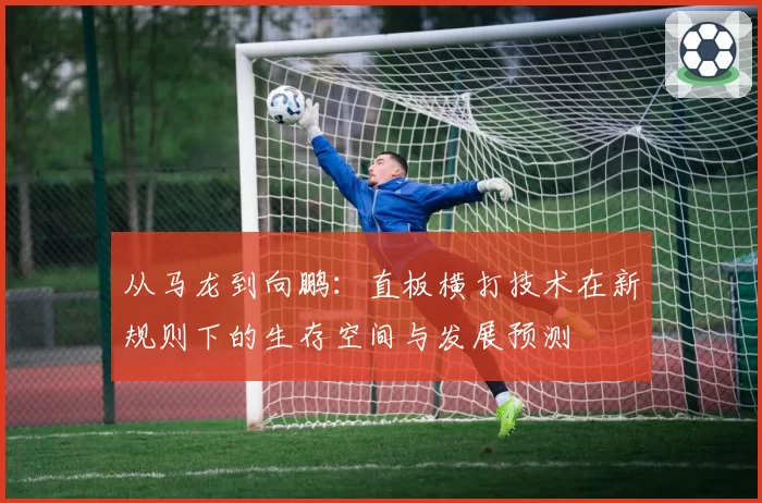 从马龙到向鹏：直板横打技术在新规则下的生存空间与发展预测
